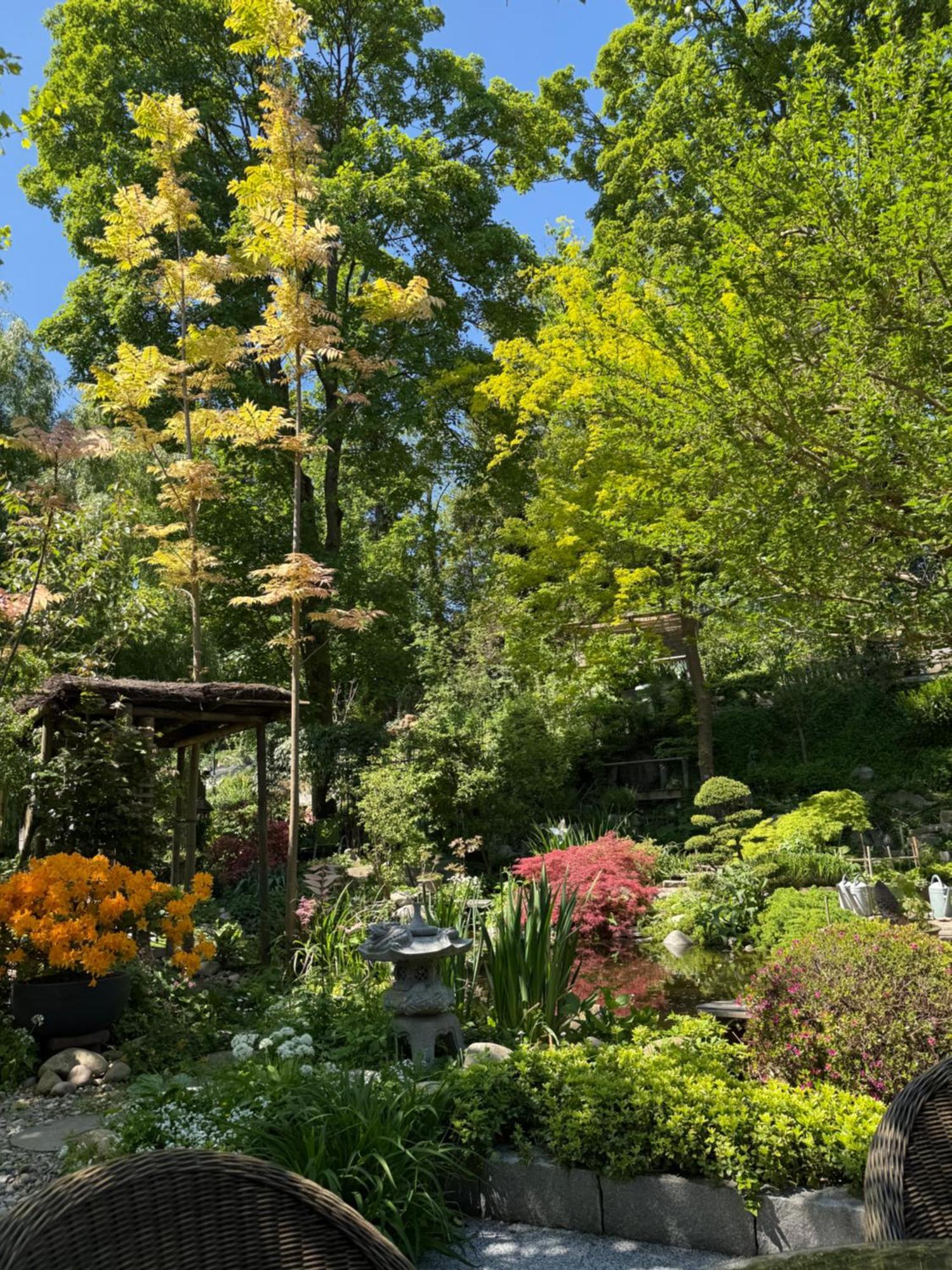 Hotel Le Jardin De La Tuilerie Alsace Pfastatt Esterno foto