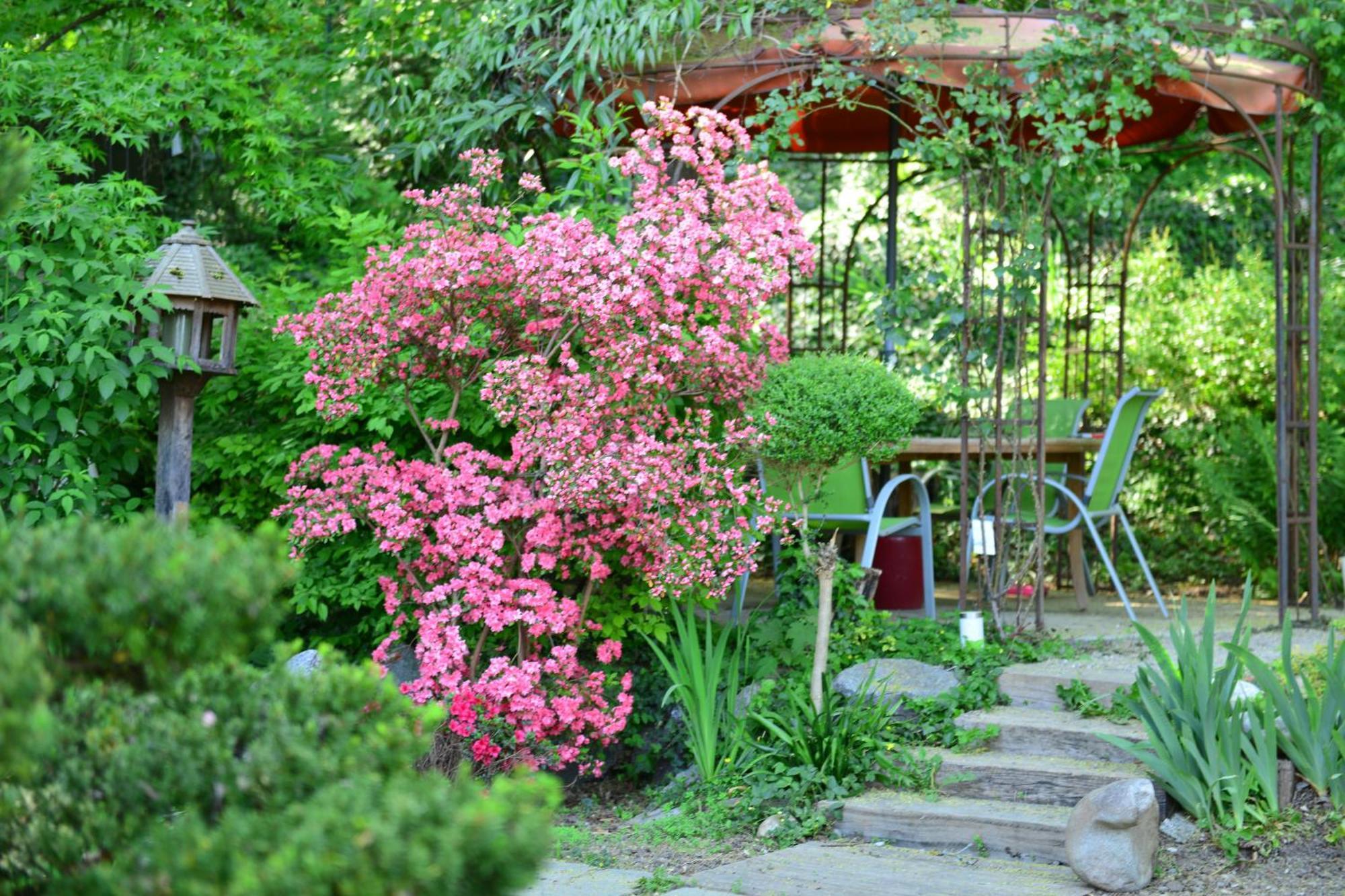 Hotel Le Jardin De La Tuilerie Alsace Pfastatt Esterno foto